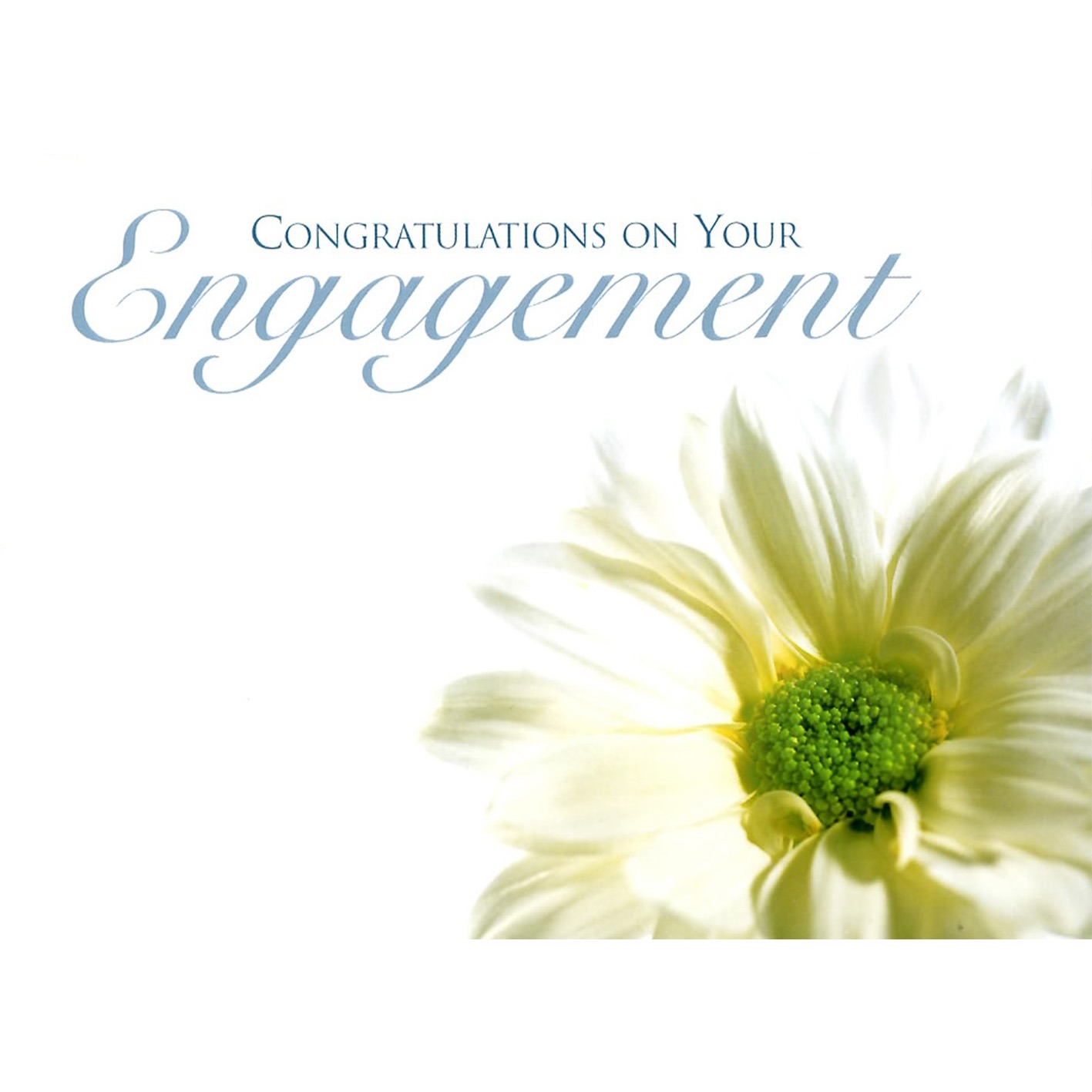 Large Cards Congratulations On Your Engagement E Pollard And Sons 