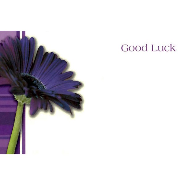 Small Cards - Good Luck - Purple Gerbera 1