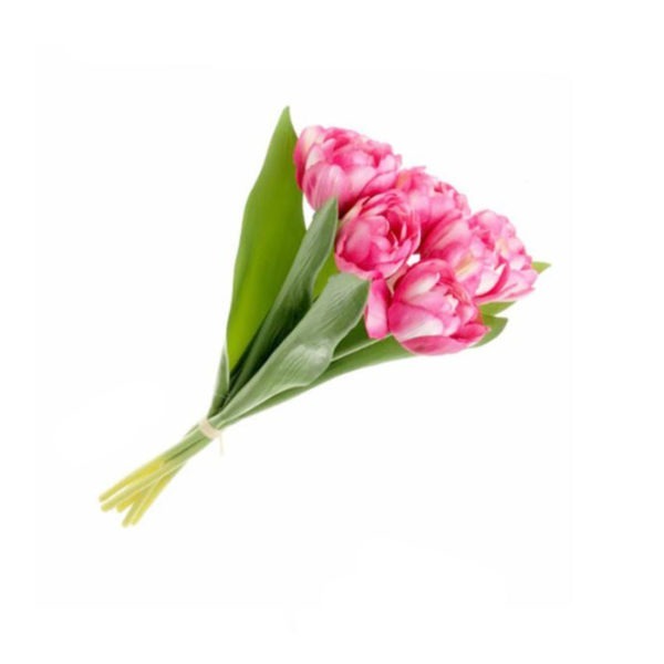 Tulip Bundle - Pink 1